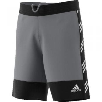 adidas PM Pantalón Corto de Baloncesto, Hombre, Gritre, XL/L