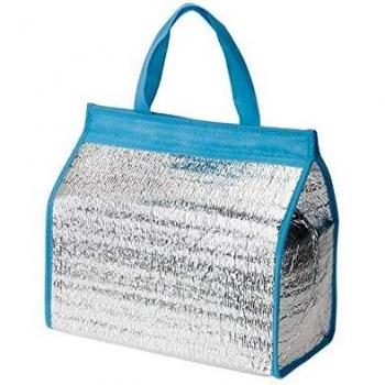 555Y581 - Nevera/Bolsa Aluminio 28X15X30 Cm