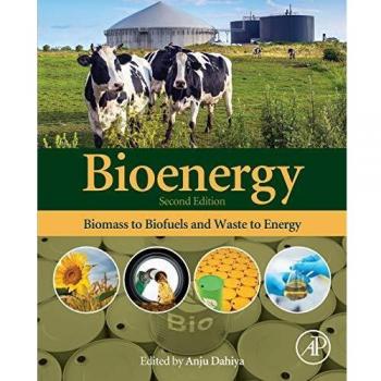 Bioenergy: Biomass to Biofuels and Waste to Energy