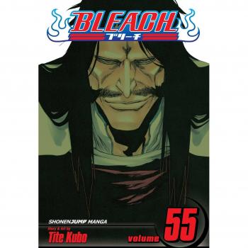 Bleach Volume 55: The Blood Warfare