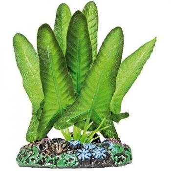 ICA AP1124 Syngonium de Aquatic Plants Seda