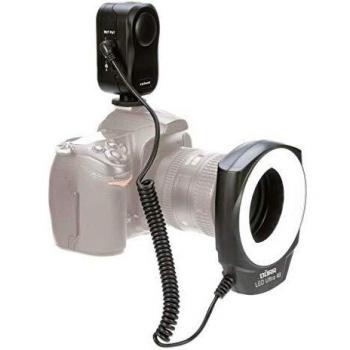 Dorr 371040 - Flash (184 g, 910 x 440 x 440 mm, 1.5 h, AA, Negro)