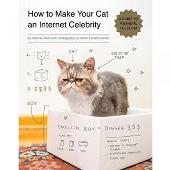 How to Make Your Cat an Internet Celebrity: A Guide to Financial Freedom: 1