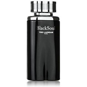 Ted Lapidus Black Soul Eau de Toilette for Men 100 ml
