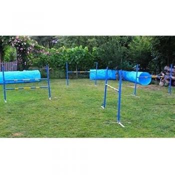 Perros Sport Agility/6 combinado FUN & Action Agility Set de callieway®