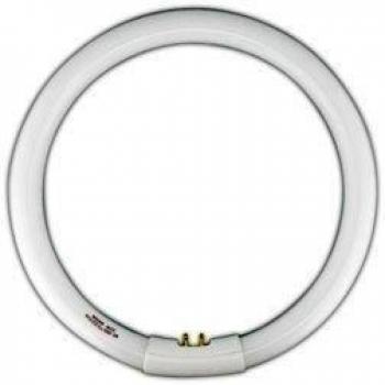 ElectroDH Tubo Fluorescente Circular T9 40W Luz 6500K