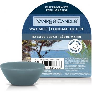 Yankee Candle Bayside Cedar Wax Melt 22 g