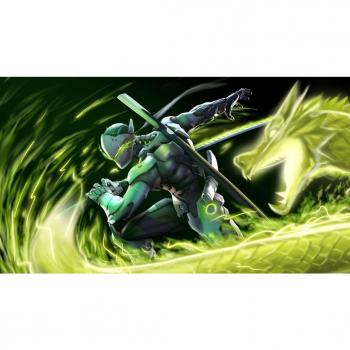 Overwatch Customized 43x24 inch Silk Print Poster Seda Cartel/WallPaper Great Gift
