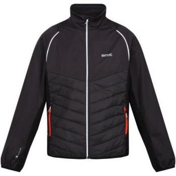 Regatta - Chaqueta Softshell Steren Hybrid para Hombre