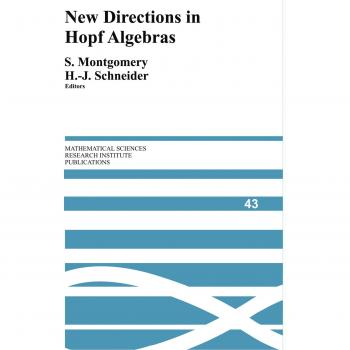 Nuevas Direcciones en Álgebras de Hopf (Publicaciones del Instituto de Investigación en Ciencias Matemáticas, Volumen 43)