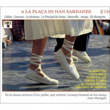 A La Plaça Hi Han Sardanes