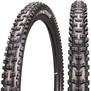 Chaoyang 6938112688820 Goma Ebike Tubeless Ready, Multicolor, Talla Única, Unisex-Adult