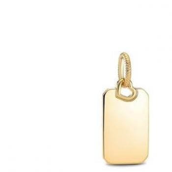 Colgante Pandora Shine Rectangular Grabable 368611C00