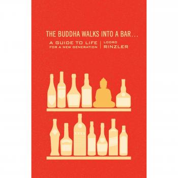 The Buddha Walks into a Bar: A Guide to Life for a New Generation