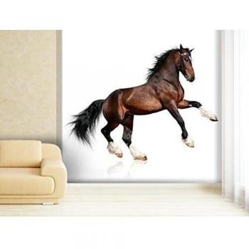 XXL-Tapeten Papel pintado fotográfico Wild Horse - Papel o vinilo papel pintado, 280x270cm