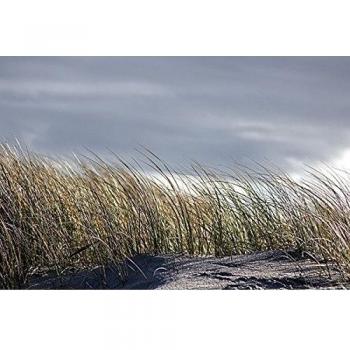 Isla de Sylt II, Dümemlandschaft de Gerhard Rossmeissl, tamaño de 120 cm x 80 cm, Giclee, impresión digital sobre lienzo artista impreso, diseño de mapamundi, diseño de Paisaje de la costa, foto arte, lienzo con bastidor, salón y las imágenes, y li