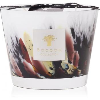 Baobab Collection Rainforest Tanjung Scented Candle 10 cm