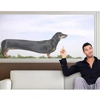 Apalis Vinilo de Ventana No.337 Sausage Dog, Dimensione:144cm x 371cm