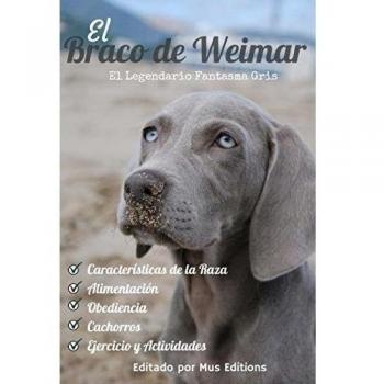 El Braco de Weimar: El Legendario Fantasma Gris