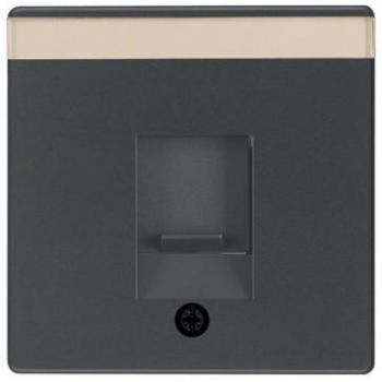 Modular Jack Central Cover Plate Q1/Q3 Anthracite Velvet Finish