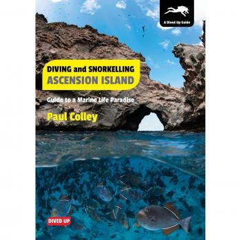 Diving and Snorkelling Ascension Island: Guide to a Marine Life Paradise