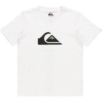 Camiseta de niños Quiksilver Comp Logo manga corta blanca y azul - 16