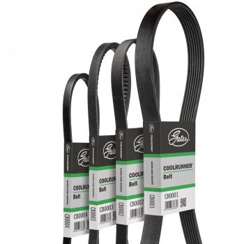 Correa trapecial poli V Coolrunner™ GATES CB0072 - Correa trapecial de poliéster, diseño tipo V, alta resistencia y durabilidad, compatible con múltiples vehículos, fabricada por GATES