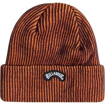 Gorro de niños Arch Patch Billabong