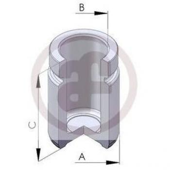 Émbolo de pinza de freno AUTOFREN SEINSA D025253