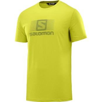 Salomon Blend Logo SS tee T-Shirt, Hombre, Amarillo