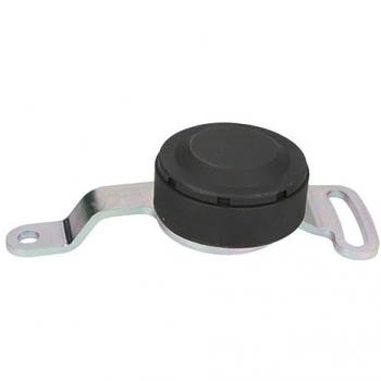 SNR GA351.40 Polea Tensora para Correa Acanalada en V y Correa Poli V, compatible con Smart City Coupe, Roadster Cabrio y Fortwo I Cabrio