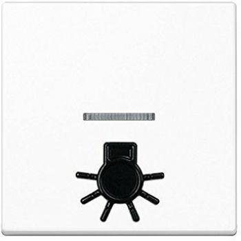 TECLA CON VISOR + SÍMBOLO LUZ BLANCO ALPINO 0712125657 JUNG