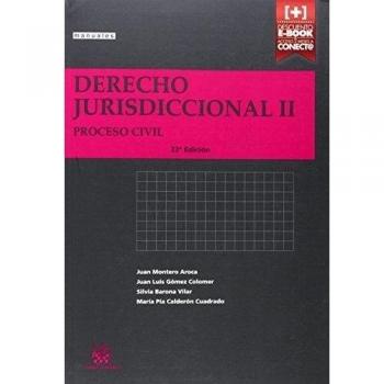 Derecho Jurisdiccional II Proceso Civil 22ª Edición 2014