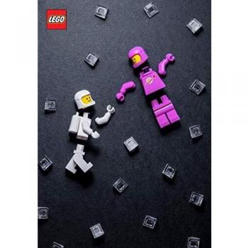 LEGO Minifigure Journal