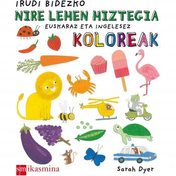 Irudi bidezko nire lehen hiztegia: kolor - EDITORIAL TEMPLAR (BONNIER)