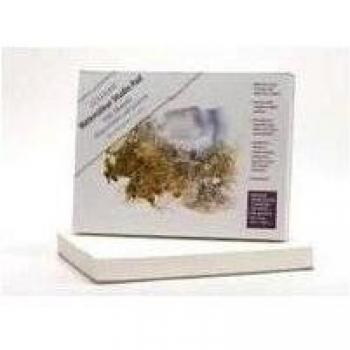 Clairefontaine 421/1021Z - Un bloc Goldline Studio Pad 100 feuilles aquarelle grain fin blanc 24x32cm 200g