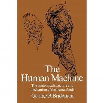 The Human Machine