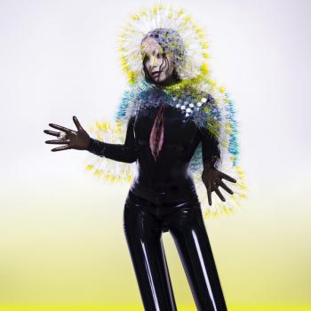 Vulnicura Strings [VINYL]