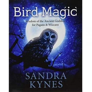 Bird Magic: Wisdom of the Ancient Goddess for Pagan and Wiccans