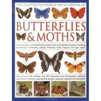 The Illustrated World Encyclopaedia of Butterflies and Moths: A Natural History and Identification Guide to Rare and Familiar Species