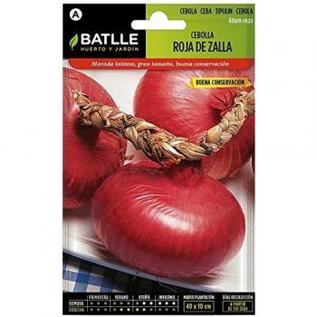 Cebolla Roja de ZALLA (Tipo NIORT)