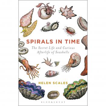 Libro Espirales en el Tiempo: La Vida Secreta y Curiosa Vida Después de las Conchas Marinas