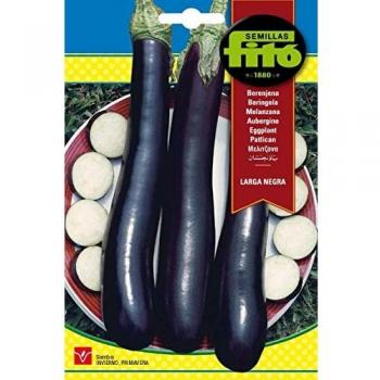 Semillas Fitó 13 - Semillas de Berenjena Larga Negra