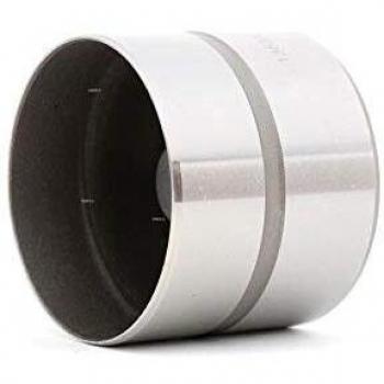 RIDEX 1216R0097 Tapón de válvula
