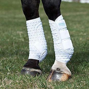 Equilibrium - Venda de entrenamiento Stretch & Flex para caballos