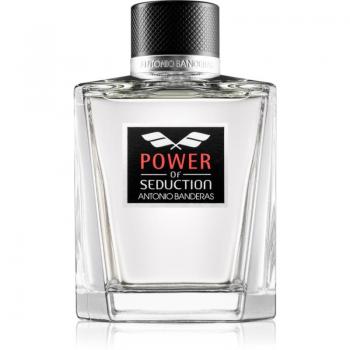 Banderas Power of Seduction Eau de Toilette for Men 200 ml