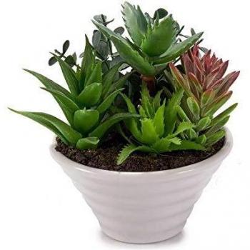 Ibergarden S3600543 Maceta Plástico