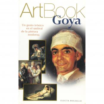Goya art book