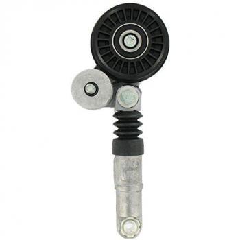 SKF VKM 31013 Kit tensor multi-V