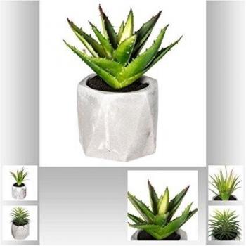 Planta Artificial con Maceta Decorativa 13x17cm Modelos Surtidos